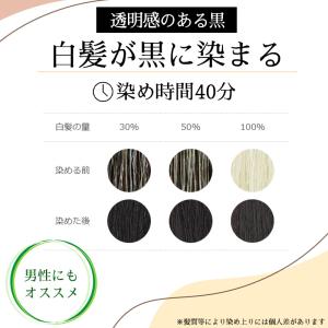 白髪染め ヘナ+木藍 黒 (No.5) 400...の詳細画像2