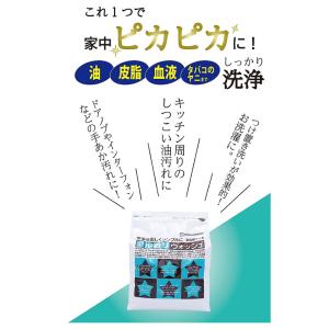 地の塩社 アルカリウォッシュ 500g 4袋セ...の詳細画像2