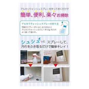 地の塩社 アルカリウォッシュ 500g 4袋セ...の詳細画像3