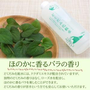 地の塩 どくだみ化粧水 500ml×1 どくだ...の詳細画像3