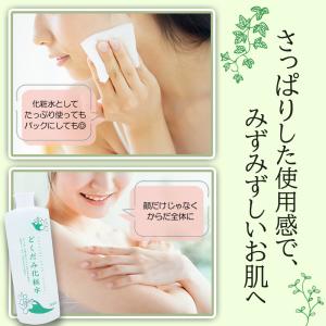 地の塩 どくだみ化粧水 500ml×1 どくだ...の詳細画像4