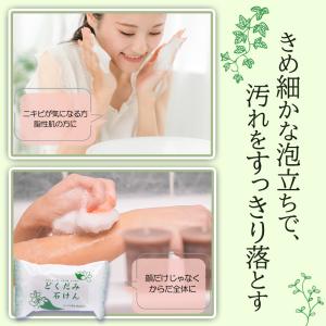 地の塩 どくだみ化粧水 500ml×1 どくだ...の詳細画像5