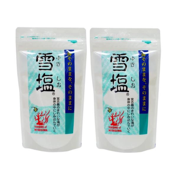 パラダイスプラン 雪塩 120g×2袋セット 宮古島の雪塩 沖縄 お土産 送料無料