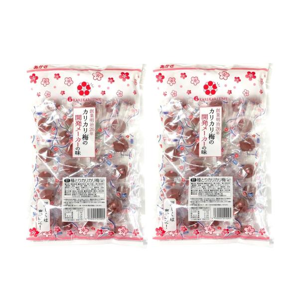 赤城フーズ 種とり カリカリ梅 210g×2袋セット 業務用 熱中症対策 送料無料