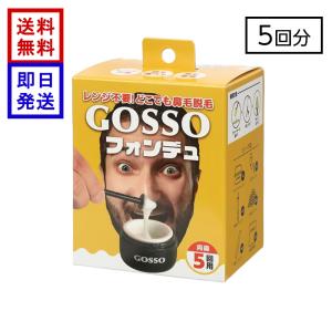 GOSSO フォンデュ 5回用 ゴッソ ブラジリアン ノーズワックス 鼻毛ワックス 鼻毛脱毛 電子レンジ不要 USBウォーマー付き 送料無料