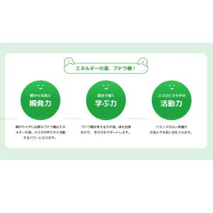 ネスレ ミロ オリジナル 大人の甘さ 135g...の詳細画像3
