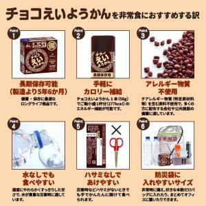 井村屋 チョコえいようかん 280g (56g...の詳細画像3