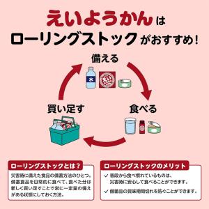 井村屋 チョコえいようかん 280g (56g...の詳細画像5