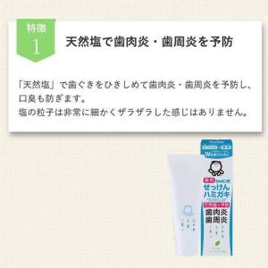 シャボン玉 薬用 せっけんハミガキ 80g 3...の詳細画像2