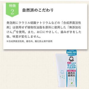 シャボン玉 薬用 せっけんハミガキ 80g 3...の詳細画像3