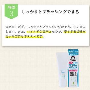 シャボン玉 薬用 せっけんハミガキ 80g 3...の詳細画像4