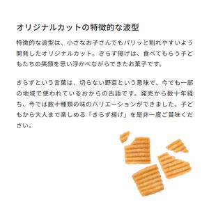 きらず揚げ しお 140g 10袋セット おと...の詳細画像3