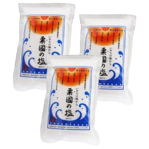 粟國の塩 粟国の塩 釜炊き 250g×2袋 /沖縄 塩(MB) : 沖縄健康 粟國の塩 粟国の塩 釜炊き 250g×2袋 /沖縄 塩(MB) : 沖縄健康