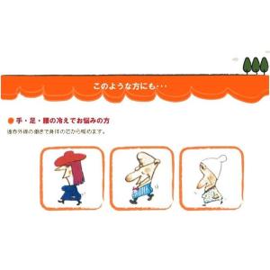 ハクキンカイロ ハクキンウォーマー ミニ NT...の詳細画像5