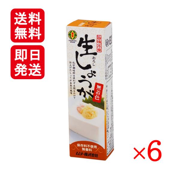 ムソー 旨味本来 生おろししょうがチューブ 40g 6本セット 香辛料 化学調味料不使用 調味料