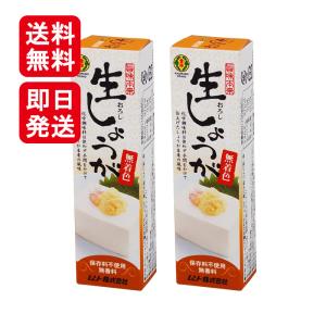 ムソー 旨味本来 生おろししょうがチューブ 40g 2本セット 香辛料 調味料 化学調味料不使用｜World NEXT