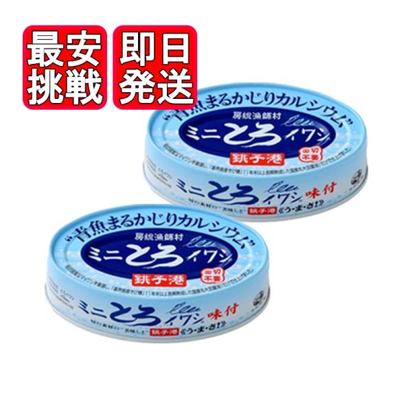 ミニとろイワシ 味付 100g 2個セット 千葉産直 缶切り不要 醤油煮 銚子港 房総漁師村