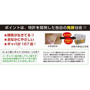 マルセイ 奇跡の酵素玄米粉 120g (4g×...の詳細画像3