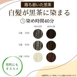 白髪染め ヘナ+木藍 黒茶 (No.4) 40...の詳細画像2