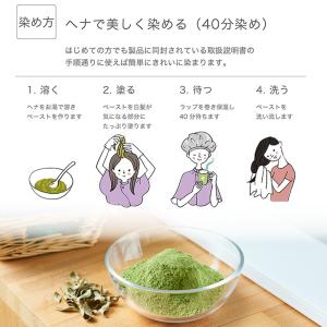 白髪染め ヘナ+木藍 黒茶 (No.4) 40...の詳細画像3