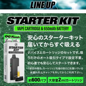 CBD スターターキット 2ML 大容量 Va...の詳細画像2