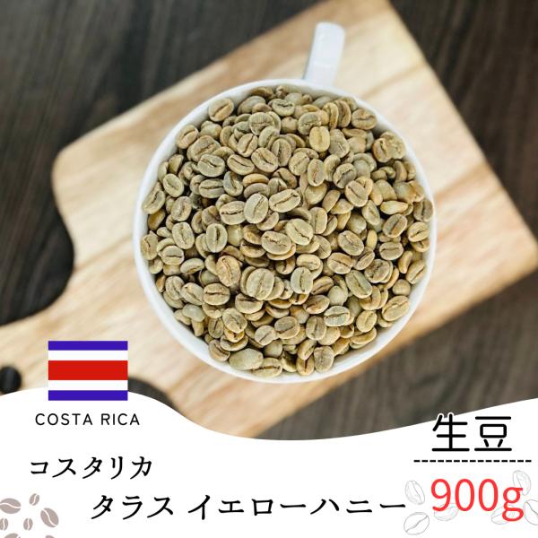 コーヒー 生豆 コスタリカ タラス イエローハニー 900g 業務用 自宅焙煎 卸売