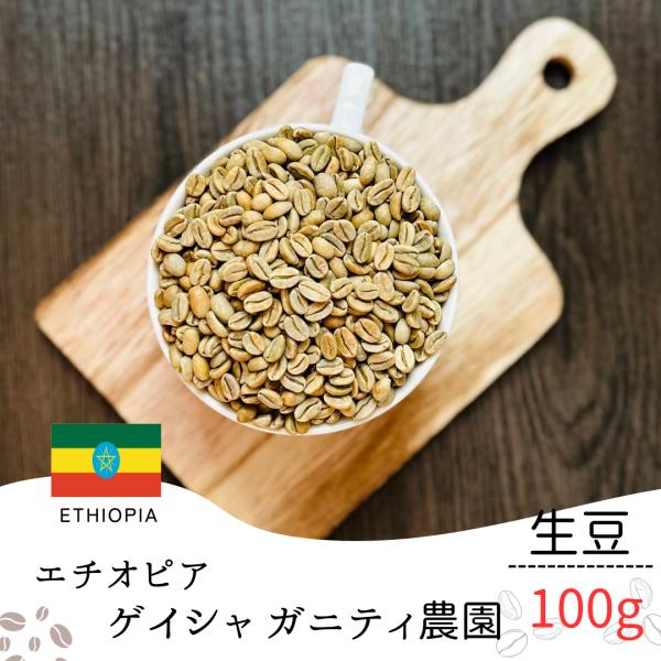 コーヒー 生豆 ゲイシャ ガニティ農園 エチオピア 100g 業務用 自宅焙煎 卸売