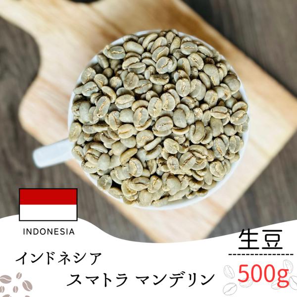 コーヒー 生豆 インドネシア スマトラ マンデリン 500g 業務用 自宅焙煎 卸売