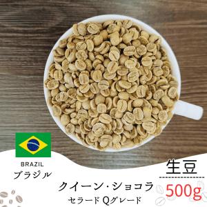 コーヒー 生豆 ブラジル No2 クイーンショコラ Qグレード #042