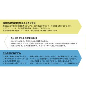 LEGITEX LEMON MENTHOL 国...の詳細画像3