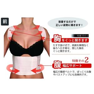 Hydas ハイダス 背筋サポートベルト コル...の詳細画像1