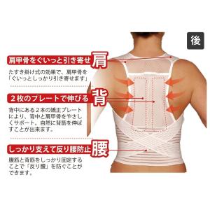 Hydas ハイダス 背筋サポートベルト コル...の詳細画像2
