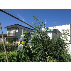 北海道環境バイオセクター 魔法のステッカーSA...の詳細画像2