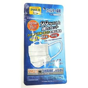 PM2.5対応 N95規格アイガードマスク レギュラーサイズ...