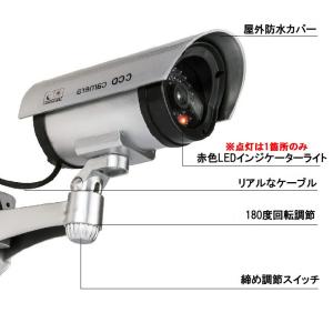 【並行輸入品】ダミーカメラ シルバー 赤色LE...の詳細画像1