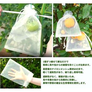 【並行輸入品】果実袋 20×15cm 100枚...の詳細画像1