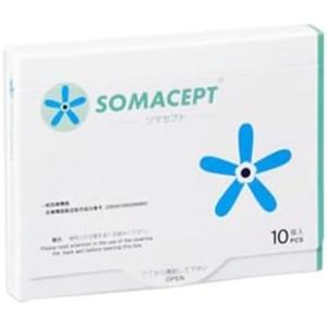 東洋レヂン ソマニクス ソマセプト L 10個入 _