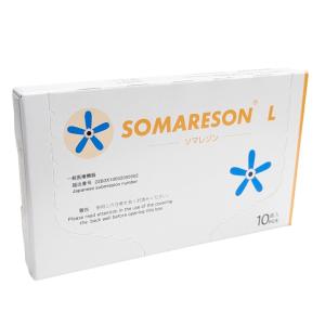 東洋レヂン ソマニクス ソマセプト L 100個入 一般医療機器 緩和