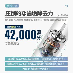 電動歯ブラシ 替えブラシ ブラシ 充電式 歯ブ...の詳細画像3
