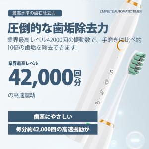 電動歯ブラシ 替えブラシ8本 替えブラシ 歯ブ...の詳細画像5