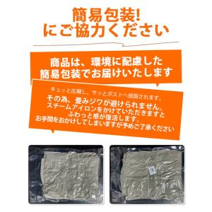 トートバッグ バッグ ショルダーバッグ 帆布 ...の詳細画像2