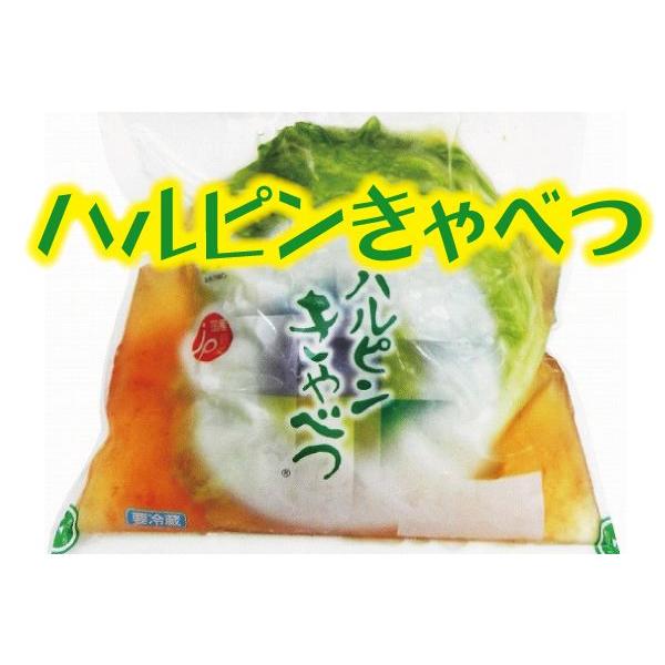【浅漬け・キャベツ・漬物】産地のハルピンキャベツ 2個セット【クール便でお届け】
