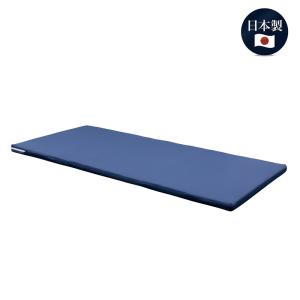 大塚家具 枕 アダプティブピロー ロータイプ 幅560×奥行410×高さ60(mm