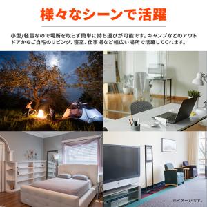 小型 電撃殺虫機 蚊取りラケット 電撃殺虫ラケ...の詳細画像4