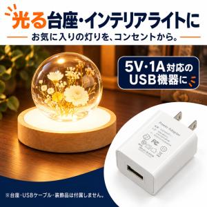 USB電源アダプター ACアダプター 5V 1...の詳細画像2