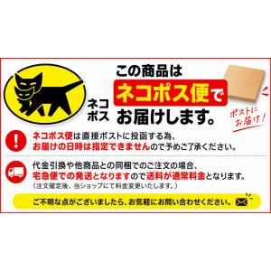 USB電源アダプター ACアダプター 5V 1...の詳細画像5