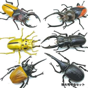 昆虫　BIGフィギュア　6点セット 男の子おもちゃ BIG昆虫セット6|【堀商店】景品・販促品・お祭り