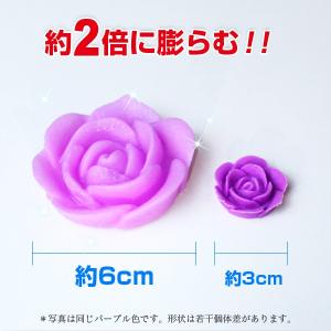 フラワージェリー バラ 薔薇 ローズ 水で膨ら...の詳細画像2