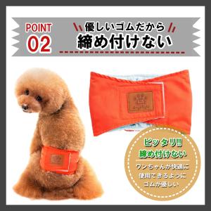 マナーベルト 犬用 ずれない 介護 おむつ マ...の詳細画像2