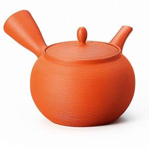 常滑焼 急須 朱泥 茶っ切り 千段 玉光作 還暦祝い 敬老の日 プレゼント